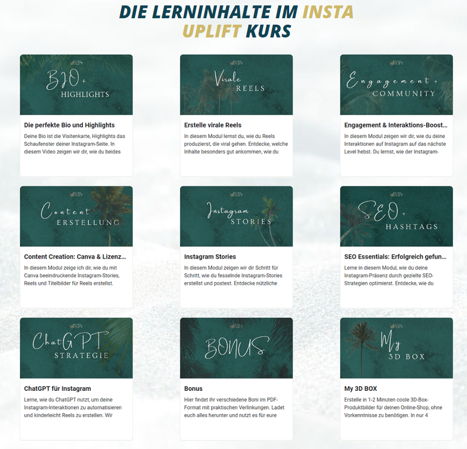 Lerninhalte im Insta Uplift Kurs